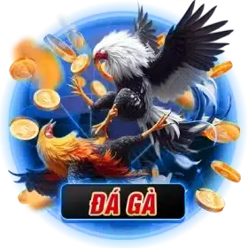 item đá gà rr88